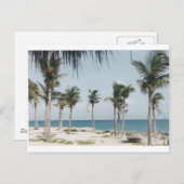 カンクンパームズ ポストカード (正面/裏面)