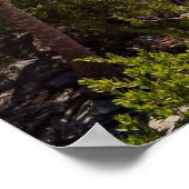 カンクンメキシコ ポスター (角)