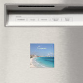 カンクン磁石 マグネット (インサイチュ (食洗機))