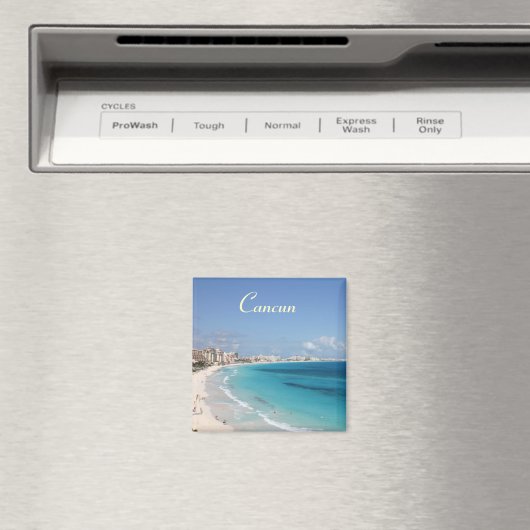 カンクン磁石 マグネット (インサイチュ (食洗機))