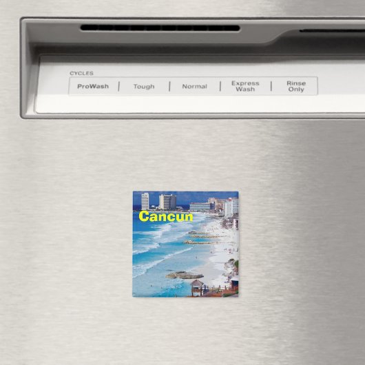 カンクン磁石 マグネット (インサイチュ (食洗機))