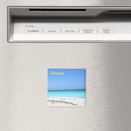 カンクン磁石 マグネット (インサイチュ (食洗機))