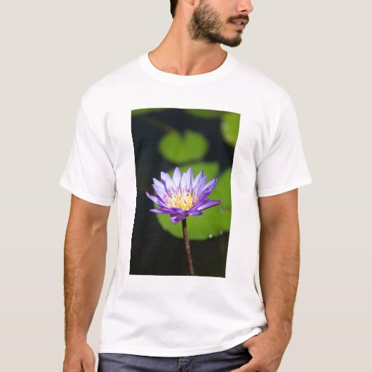 カンクン, メキシコ Tシャツ (正面)