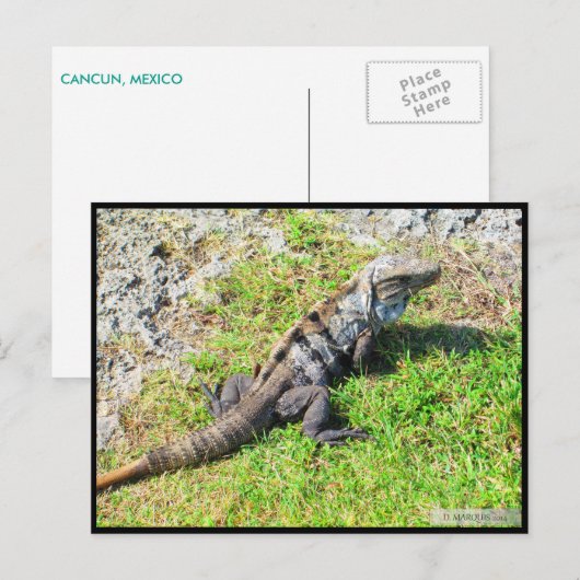 カンクン#16葉書 ポストカード (正面/裏面)