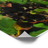 カンクン#6ポスター ポスター (角)