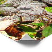 カンクン#8ポスター ポスター (角)