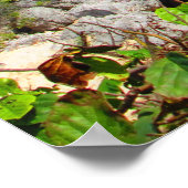 カンクン#8ポスター ポスター (角)