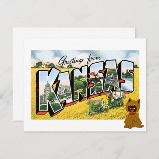 カンザスからのご挨拶！ケアンテリアートト ポストカード (正面/裏面)