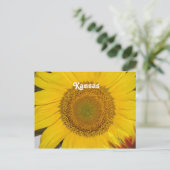 カンザスのひまわり ポストカード (スタンド正面)