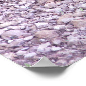 カンザスのカミツキガメ ポスター (角)