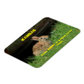 カンザスのバニーの中にはマグネットが大好きなものもある。 マグネット (左側)