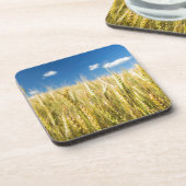 カンザスのムギ コースター (左側)