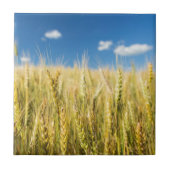 カンザスのムギ タイル (正面)