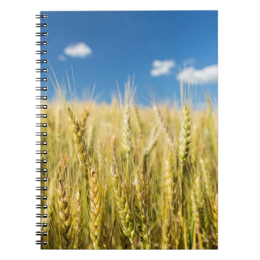 カンザスのムギ ノートブック (正面)