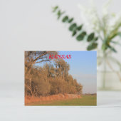カンザスの小麦畑と木のポストカード ポストカード (スタンド正面)