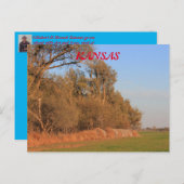 カンザスの小麦畑と木のポストカード ポストカード (正面/裏面)