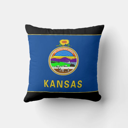 カンザスの旗 クッション (裏面)