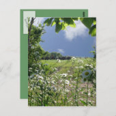 カンザスの草原および野生の花 ポストカード (正面/裏面)