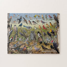 カンザスの裏庭の鳥 ジグソーパズル