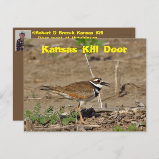 カンザスはフィールドのポストカードで鹿を殺す。 ポストカード (正面/裏面)