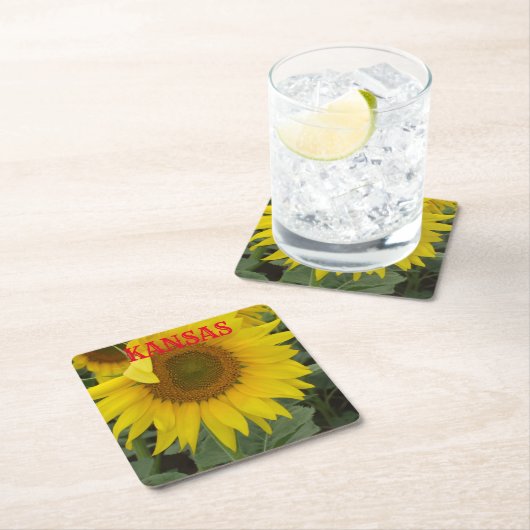 カンザスイエローサンフラワースクエアコースター スクエアペーパーコースター (インサイチュ)