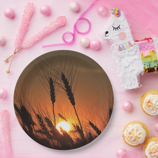 カンザスウィートサンセットシルエットがクローズアップ ペーパープレート (パーティー)