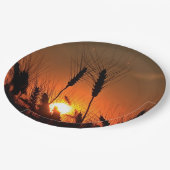 カンザスウィートサンセットシルエットがクローズアップ ペーパープレート (アングル)