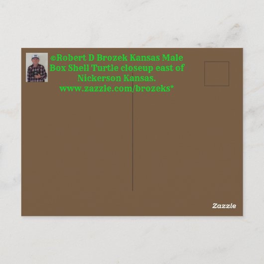 カンザスオスの箱シェルタートルポストカード ポストカード (裏面)