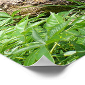 カンザスカントリー側 ポスター (角)