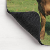 カンザスカントリー牛 マウスパッド (コーナー)