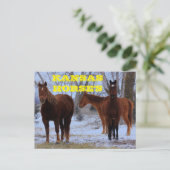 カンザスカントリー馬のポストカード ポストカード (スタンド正面)