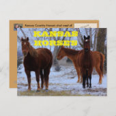 カンザスカントリー馬のポストカード ポストカード (正面/裏面)