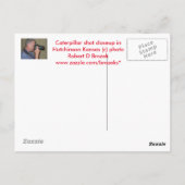 カンザスキャタピラーのクローズアップPOST CARD ポストカード (裏面)