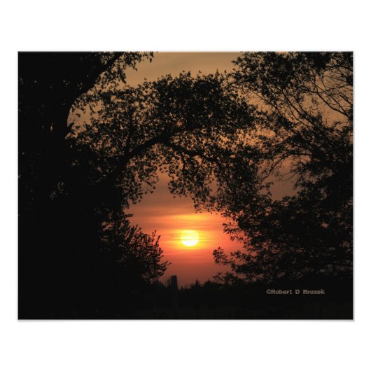 カンザスサンセットと木の写真の拡大 フォトプリント            (正面)