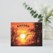 カンザスサンセットツリーシルエットポストカード ポストカード (スタンド正面)