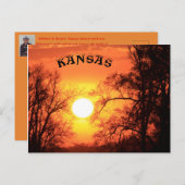 カンザスサンセットツリーシルエットポストカード ポストカード (正面/裏面)