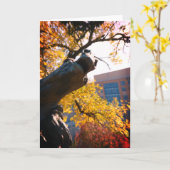 カンザスシティプラザホース秋 カード (黄色い花)