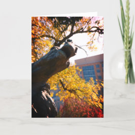 カンザスシティプラザホース秋 カード