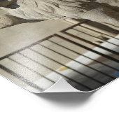 カンザスシティプラザライオン フォトプリント            (角)