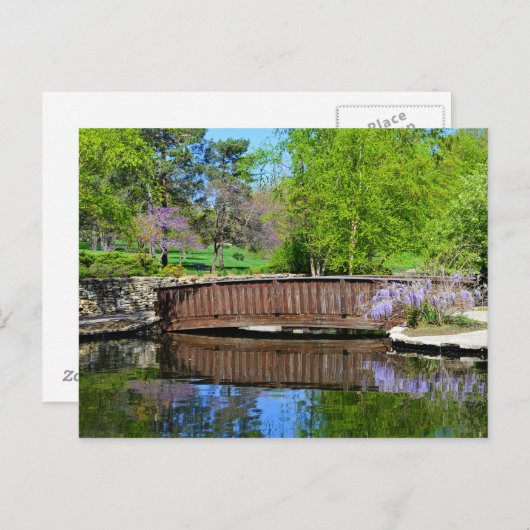 カンザスシティーのルーズパークで開花の藤 ポストカード (正面/裏面)