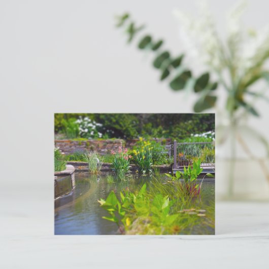 カンザスシティーの池の井戸の庭園の水生植物 ポストカード (スタンド正面)
