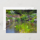 カンザスシティーの池の井戸の庭園の水生植物 ポストカード (正面/裏面)
