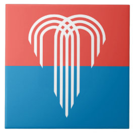 カンザスシティー国旗のタイル タイル