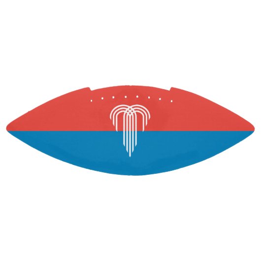 カンザスシティー州旗を持つアメリカンフットボール アメリカンフットボール (パネル)