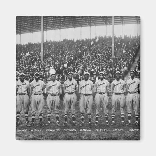 カンザスシティ(昆虫)オオカバマダラ、モナーク球団 マグネット (正面)