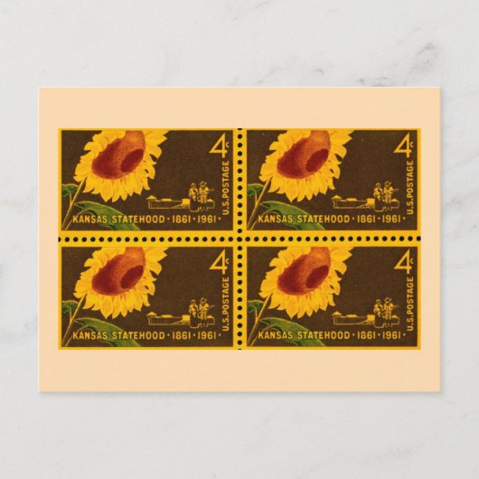カンザスステートフースマフラワーヴィンテージ ポストカード (正面)