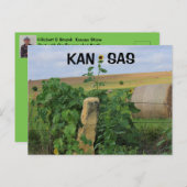 カンザスストーンポストひまわり付きポストカード ポストカード (正面/裏面)