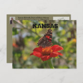 カンザスバタフライポストカード ポストカード (正面/裏面)