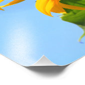 カンザスヒマワリと（昆虫）オオカバマダラ、モナーク蝶が閉じている フォトプリント            (角)