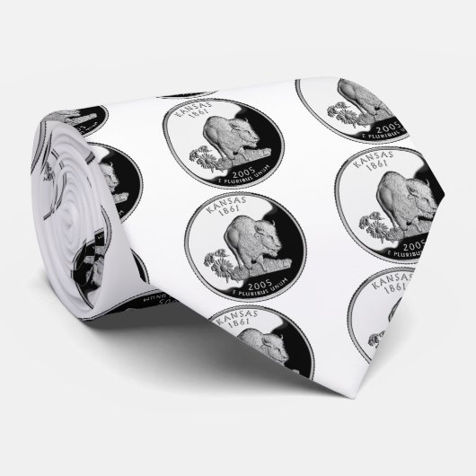 カンザスフェイク州クォーター ネクタイ (ロール)